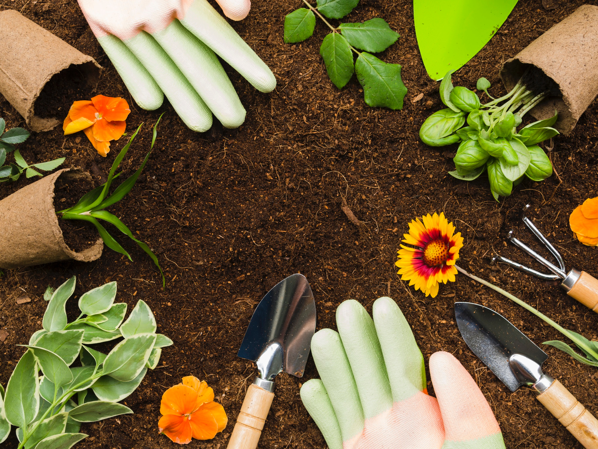 Garden Project